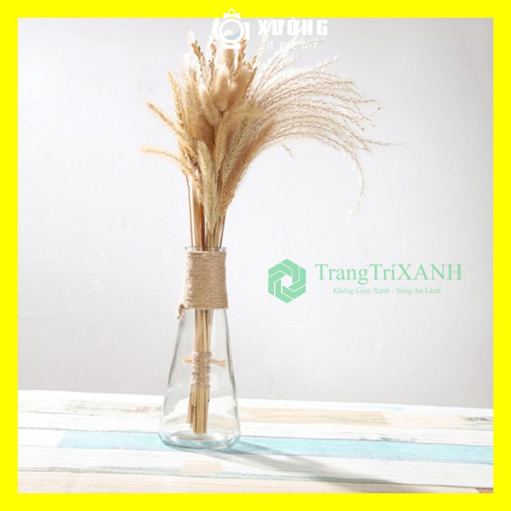 Lọ Thủy Tinh Hình Nón