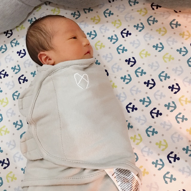 Ga và quây cũi cá heo xinh xắn [thanh lý]
