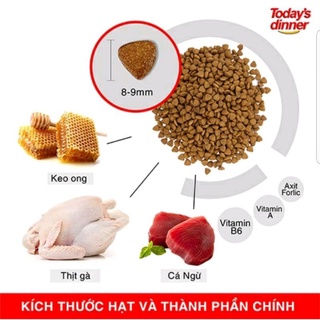 Thức ăn hạt Today's dinner 1kg cho Mèo mọi lứa tuổi