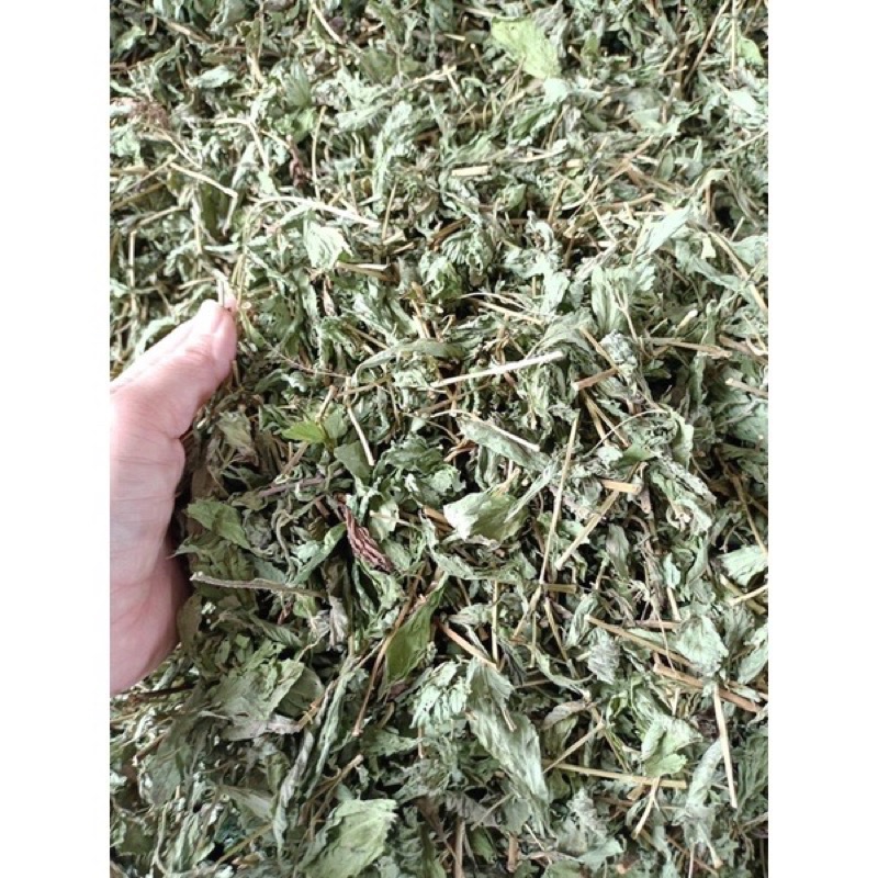 Cỏ ngọt tự nhiên 1 kg hàng khô lá xanh thơm mới