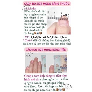 Nail box thiết kế HV01