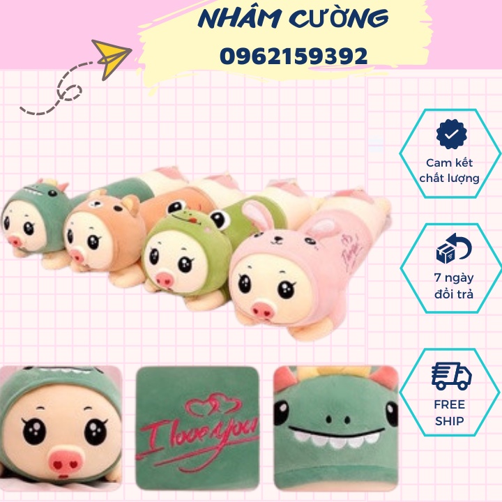 Gấu Bông Heo Biến Hình , Gối Ôm Heo Lợn Chọn Mẫu Đủ Sze 1M1-1M3-1M5