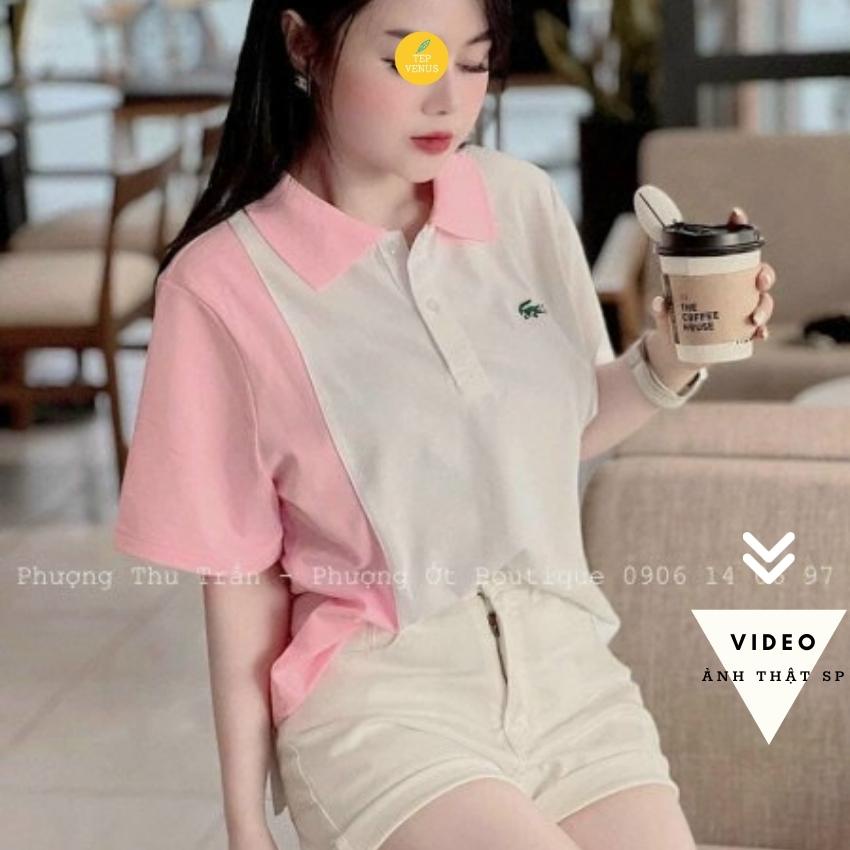 ✨BÁN SỈ✨Áo Polo Nữ - Kho Sỉ Tuyến Hiền - Áo Thun Tay Ngắn Cổ Bẻ Sọc Hồng Phối Trắng