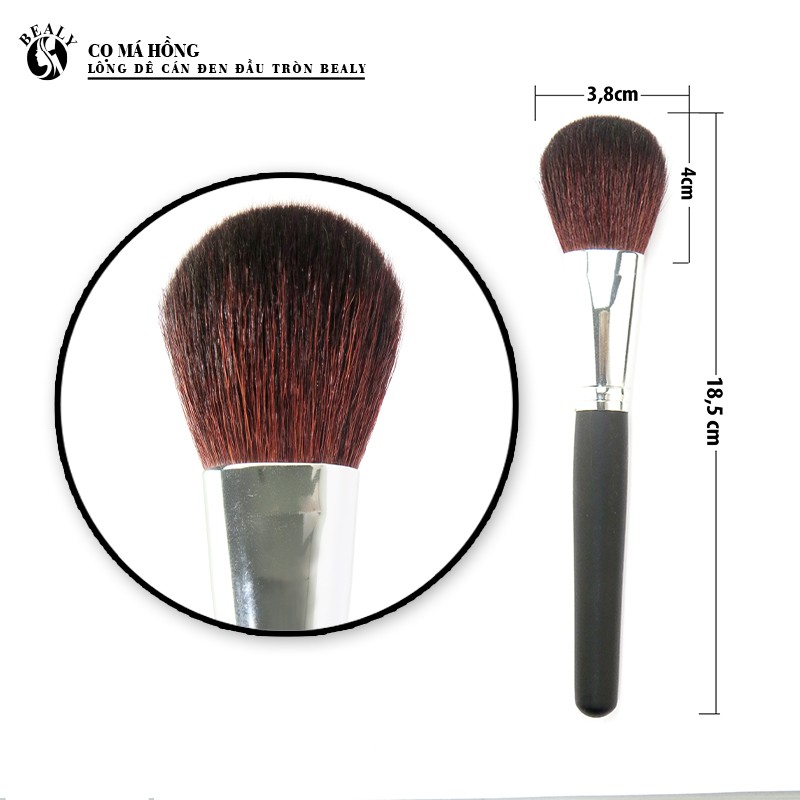 Cọ Má Hồng Lông Dê Cán Đen Đầu Tròn BEALY