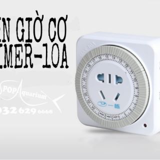 HEN GIỜ CƠ TIMER-10A