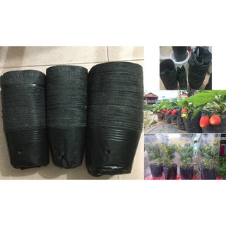 [HOT] 1 Lạng Túi ươm/ Chậu trồng cây giống [HOT] Bầu ươm cây nilông đen loại 1 hàng (NEW).