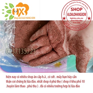 hạt giống cây tràm úc -500 gram