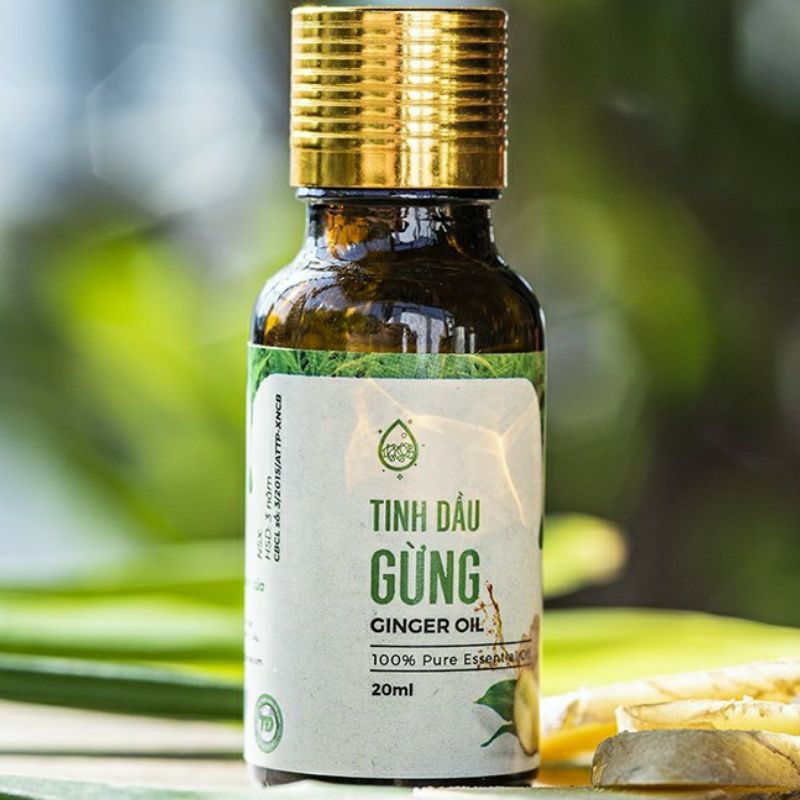 Tinh Dầu Gừng 10ml