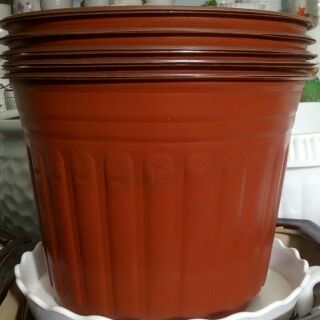 Combo 10 cái chậu nhựa dẻo màu nâu cao20cm-rộng28cm