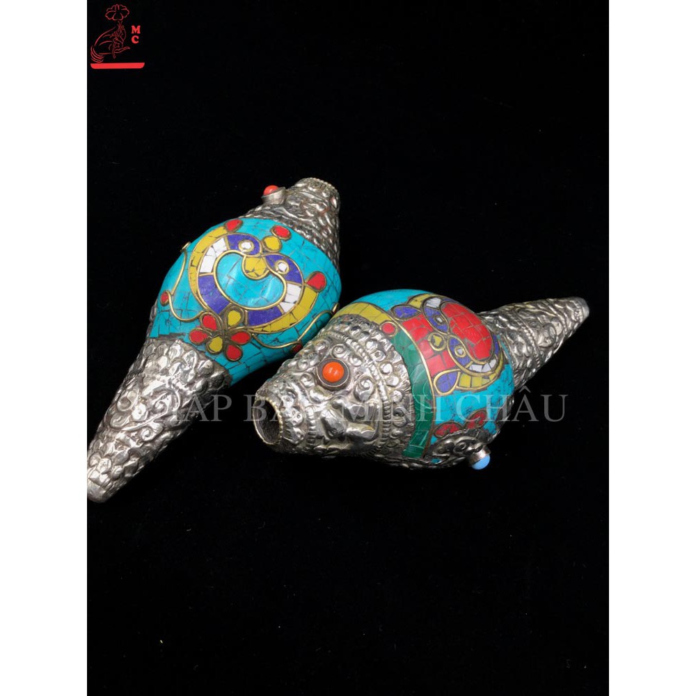 ỐC BIỂN NEPAL HOA VĂN TO