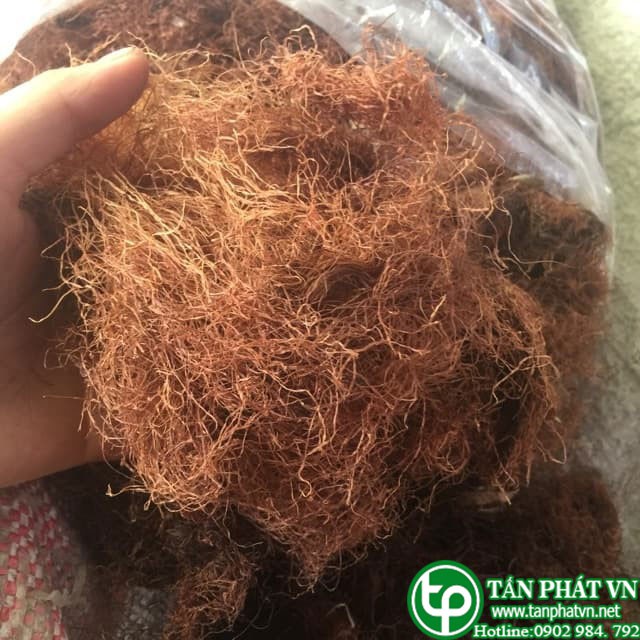 Râu bắp  khô 1kg - Tấn Phát