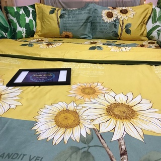 set chăn ga gối