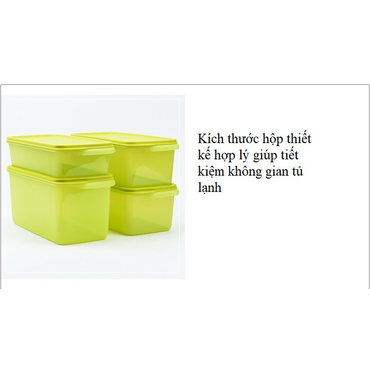 Bộ 4 Hộp Trữ Mát Tupperware Hộp Đựng Rau Ngăn Mát Chữ Nhật Màu Xanh Lá NOOP TU31