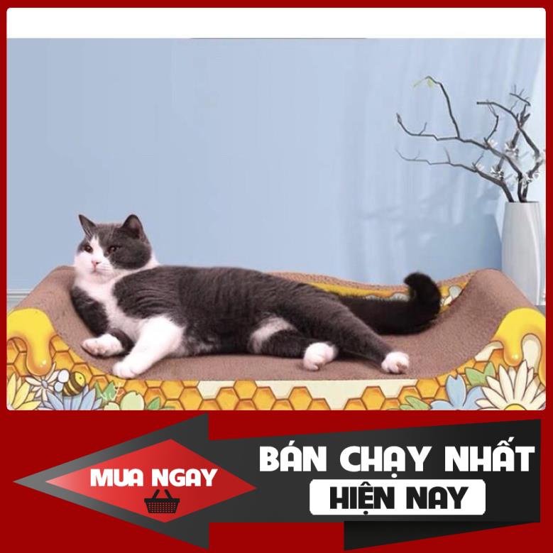 [❌GIÁ SỈ❌] FREESHIP ĐƠN 50K_Bàn cào móng cao cấp dành cho mèo ❤️