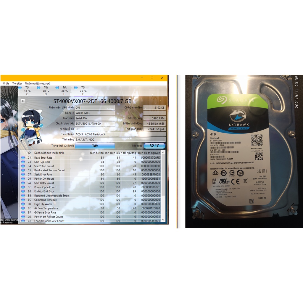 Ổ cứng WD Blue 1TB - 3TB 3.5 inch SATA III 64MB Cache 7200RPM WD10EZEX -2ND