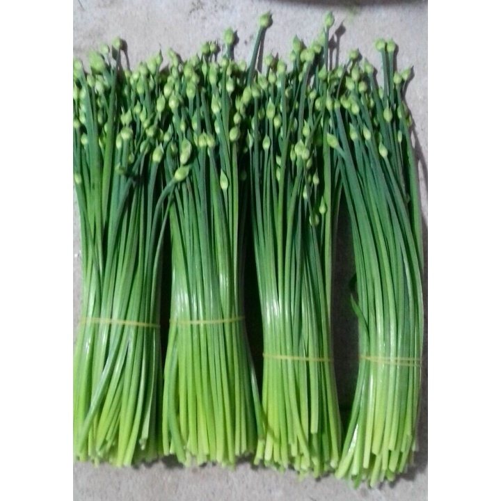 Hạt Giống Hẹ Ăn Bông Dễ trồng 1gr