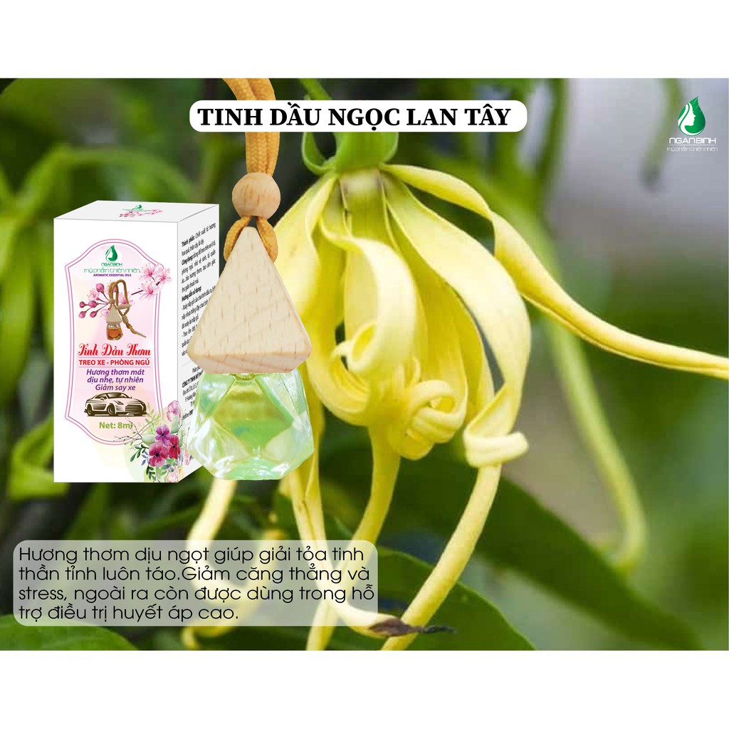 Combo 10 Tinh dầu thơm ngân bình [Chính hãng, freeship]