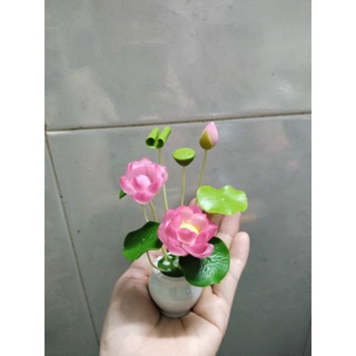 Chậu hoa sen đất sét mini