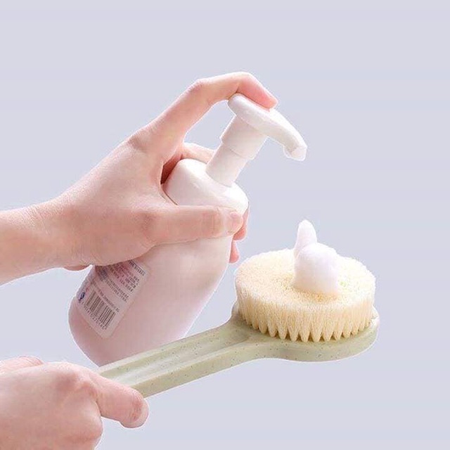 CỌ CHÀ LƯNG MUJI - Nhật