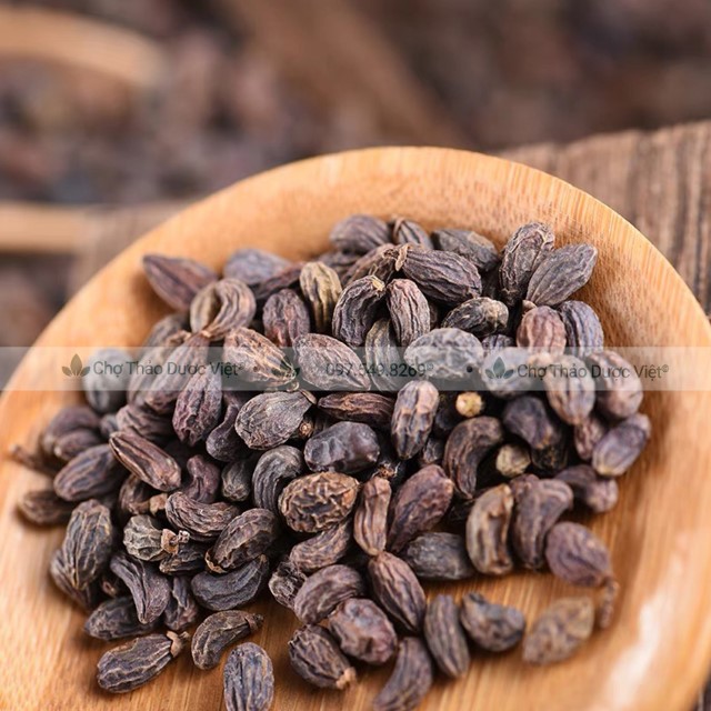 1kg Ngưu Bàng Tử (Khô,Sạch,Đẹp)