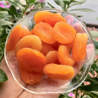 Mơ sấy dẻo không đường chuẩn Healthy loại ngon Thổ Nhĩ Kỳ