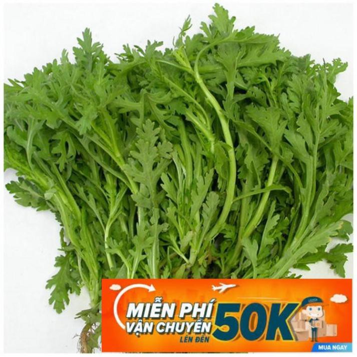 20g Hạt giống Rau Tần ô