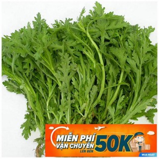 20g hạt giống rau tần ô