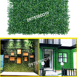 CỎ CẢI XOONG - CỎ NHỰA TRANG TRÍ TƯỜNG CÂY GIẢ