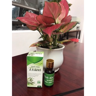 Tinh Dầu Tràm Huế 20ml