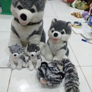 Ti ti nguyễn