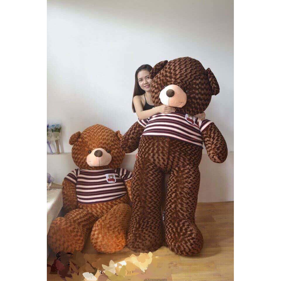 Gấu bông Teddy Cao Cấp khổ vải 2m Cao 1,8m màu nâu hàng VNXK