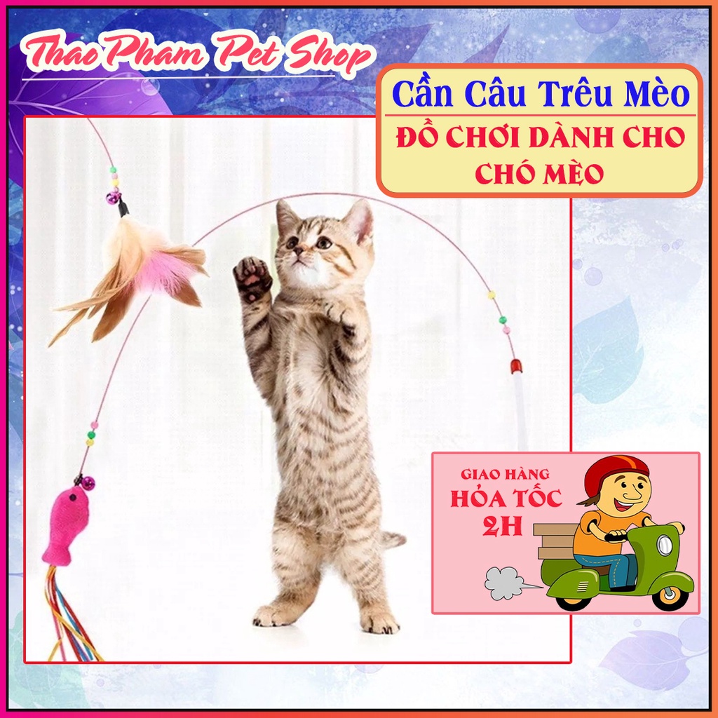 Cần Câu Trêu Mèo Lông Gà