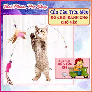 Cần câu trêu mèo lông gà