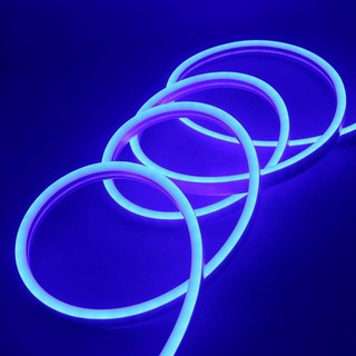 ✅✅(SALE 50%)ĐEN LED NEON 12V ✅✅FREESHIP