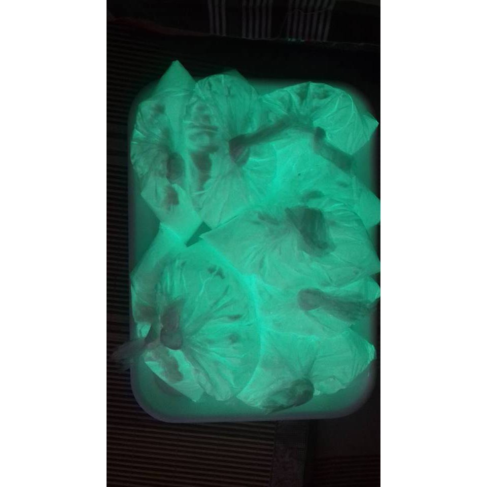 [RẺ VÔ ĐỊCH] 100g Bột dạ quang phát sáng cực mạnh màu xanh lục