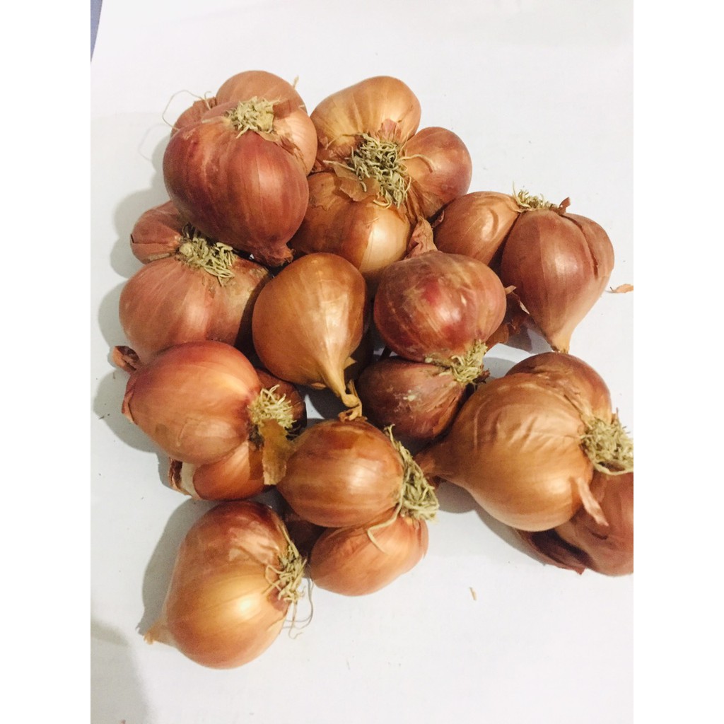 Hành củ quê Kinh Môn- Việt Nam
