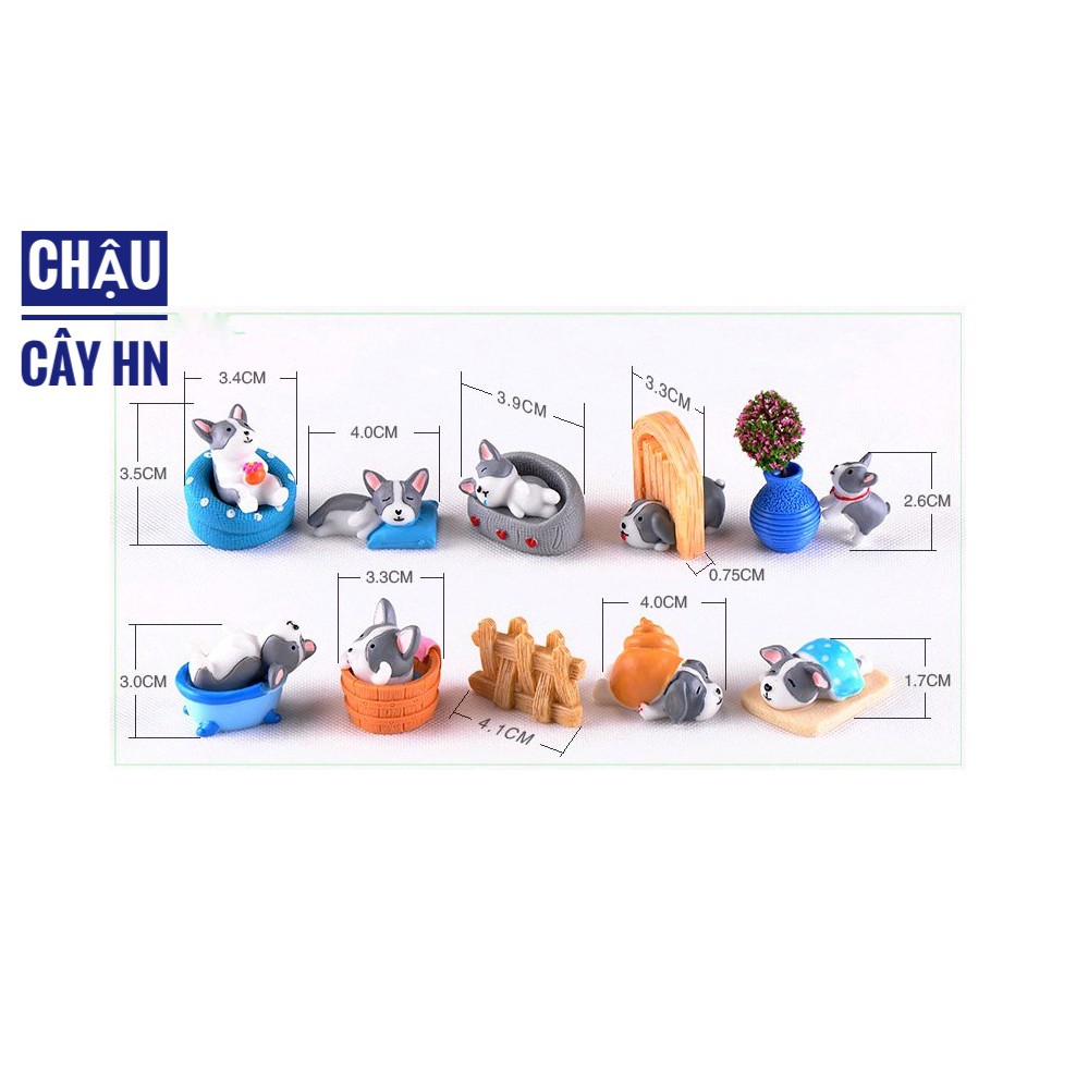 Chó con dễ thương làm tiểu cảnh trang trí chậu cây, sen đá, Mô hình địa trung hải, đồ chơi sáng tạo, quà tặng ý nghĩa