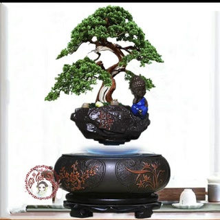 Chậu hoa lơ lửng chậu bonsai bay