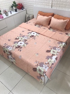 set ga phủ poly