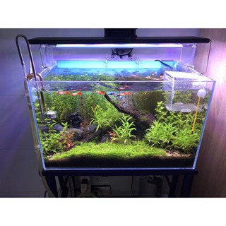 Đèn hồ thủy sinh WRGB (basic)