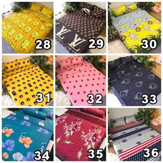 Set ga gối cotton poly