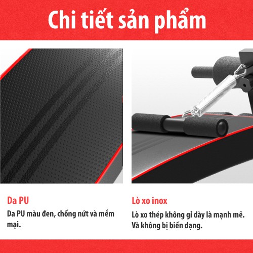 BG Ghế tập bụng cong muse mẫu SU119 cao cấp Thái Lan