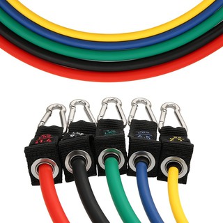 Bộ 17 dây kháng lực tập thể dục