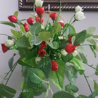 Giỏ hoa trà treo tường