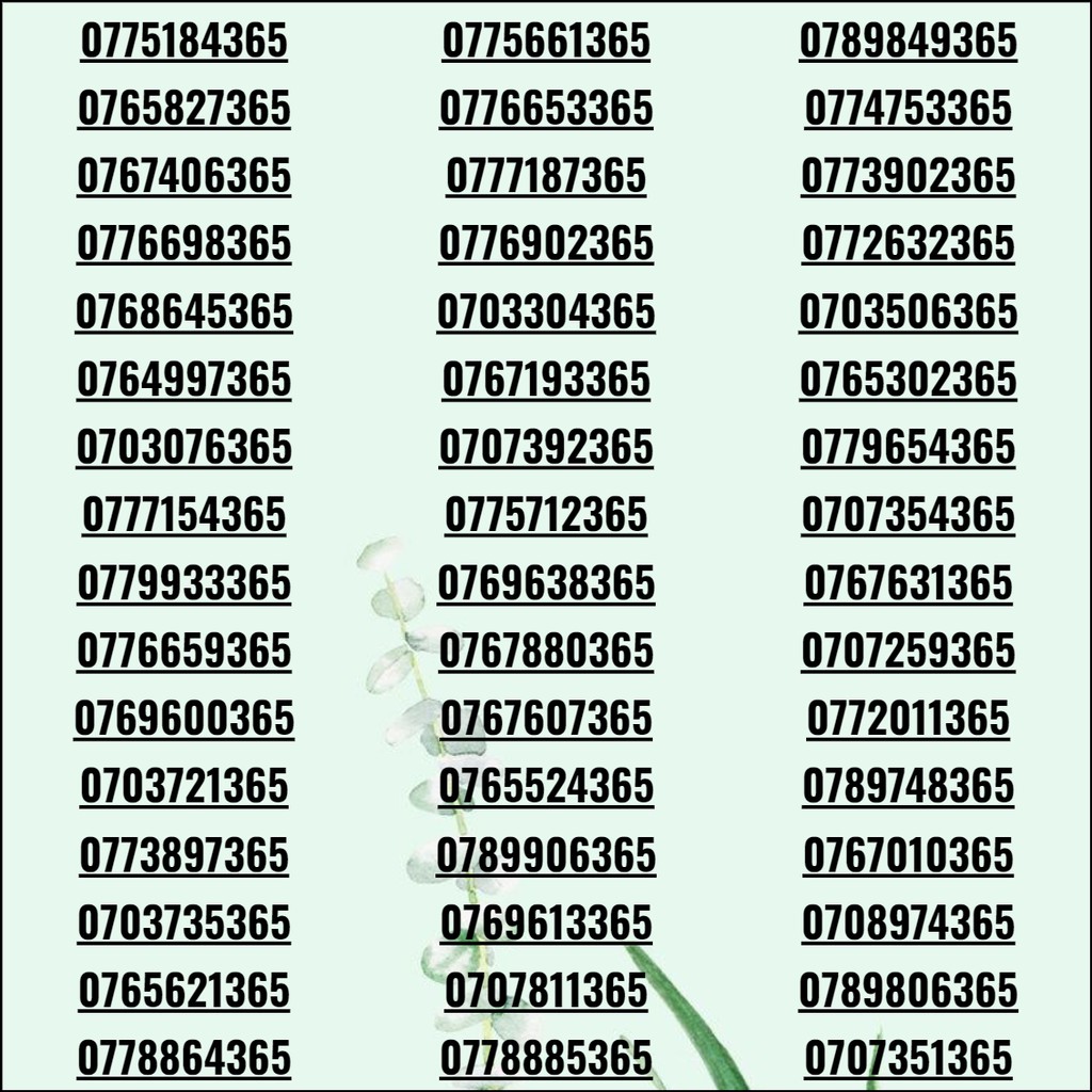 Sim số đẹp, sim 3G/4G/5G giá rẻ phong tiến khuyến mãi vĩnh viễn có thể sảnh tiến, tứ quý, lộc phát max data