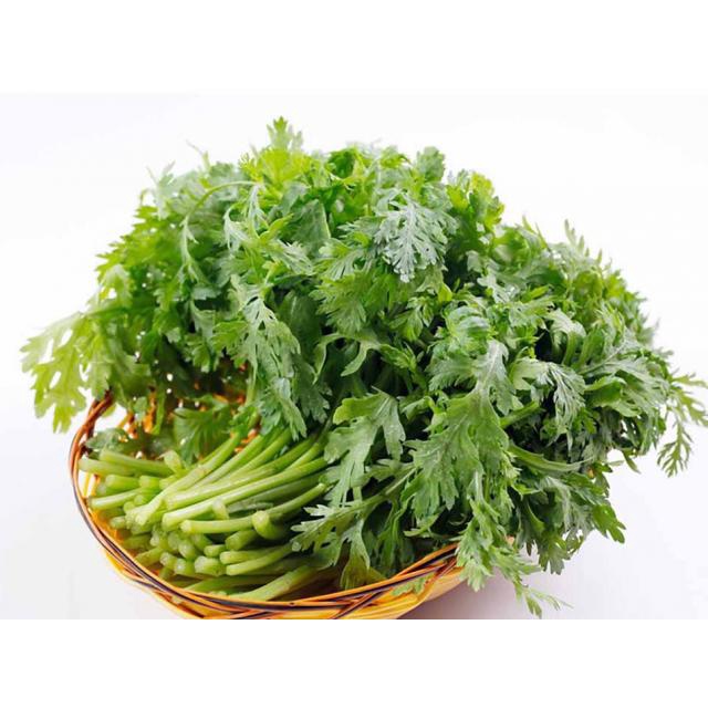 Hạt Giống RAU TẦN Ô HN-23 (15 Gr)