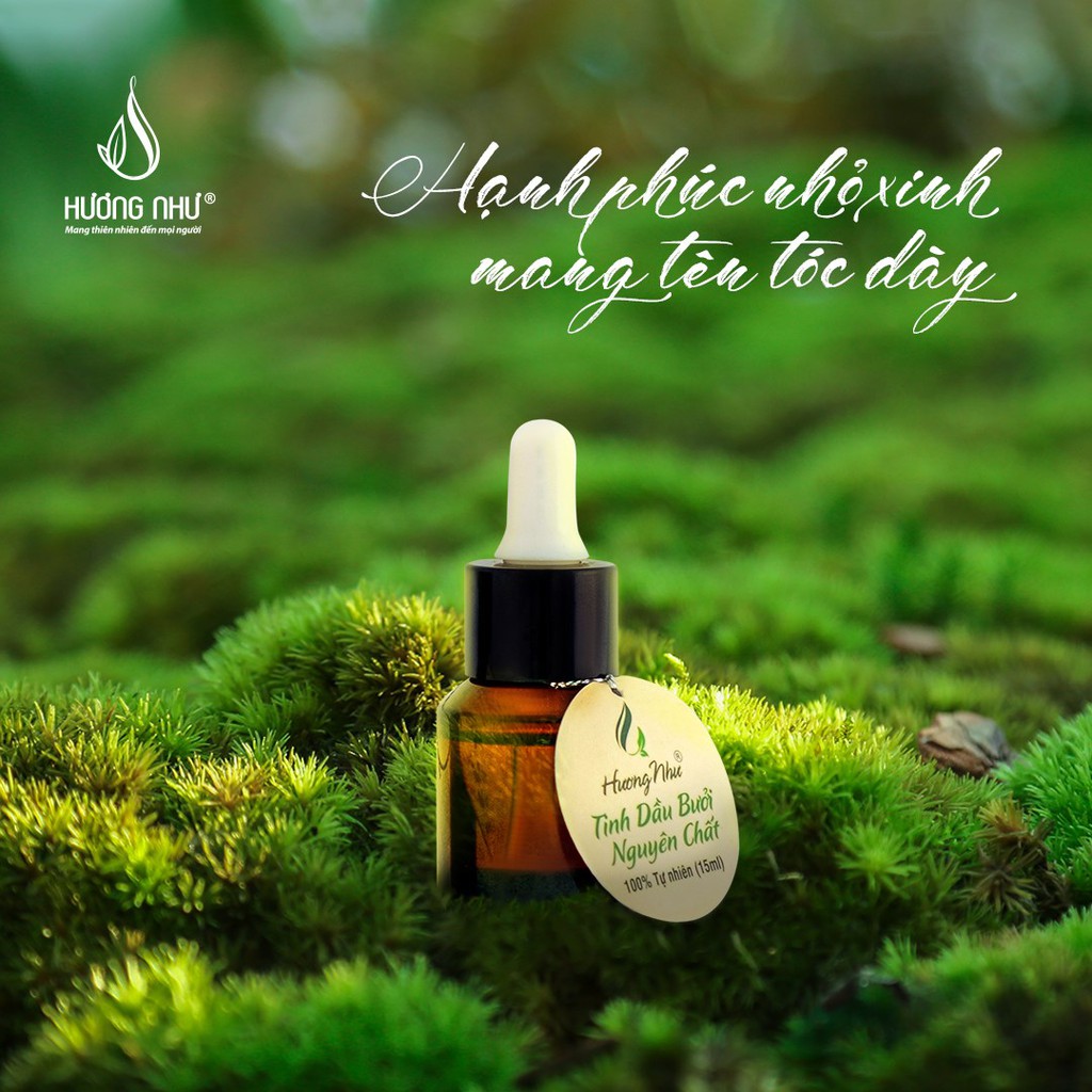 [GIẢM RỤNG TÓC, DÀI TÓC, MỌC TÓC] Tinh dầu bưởi kích thích mọc tóc Hương Như | BigBuy360 - bigbuy360.vn