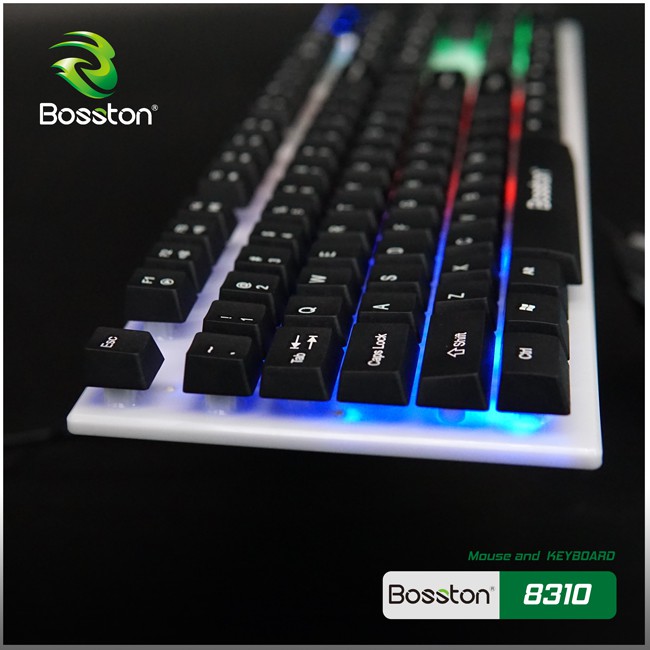 Combo Phím + Chuột Bosston 8310