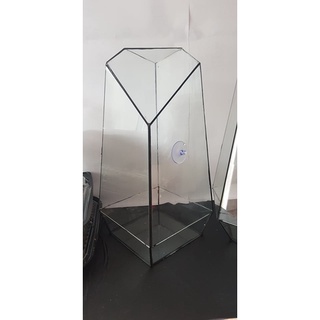 Tiểu Cảnh Bình thủy tinh terrarium  (tặng kèm hít kính )