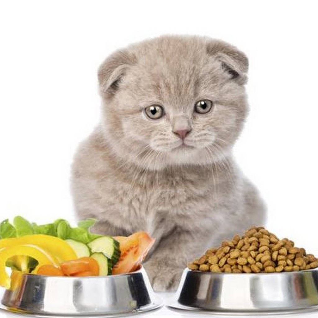 [Gói Lẻ] Thức ăn hạt catsrang cho mèo - gói một cân